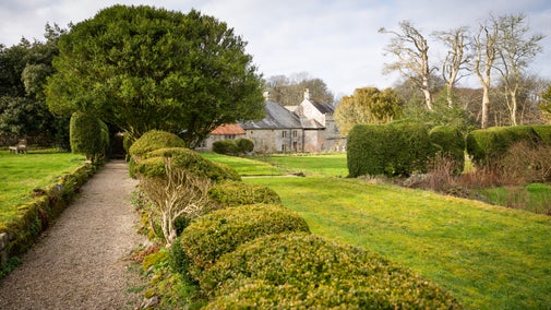 A gravel path in a garden, bordered by box hedging, with grass either side and a house in the distance.